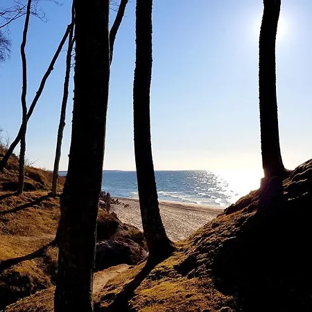 別荘 Lesna Ostoja *