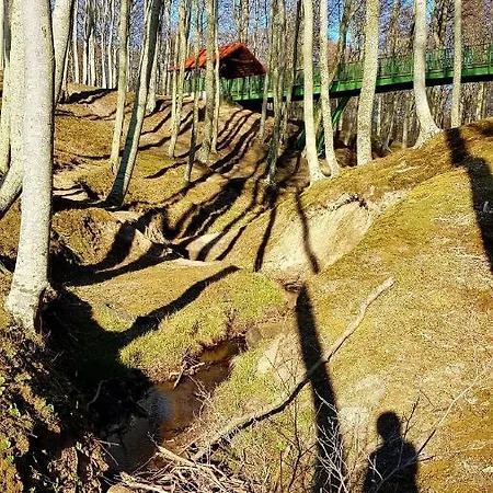 Lesna Ostoja *