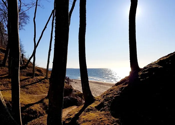 Dom wakacyjny Leśna Ostoja *