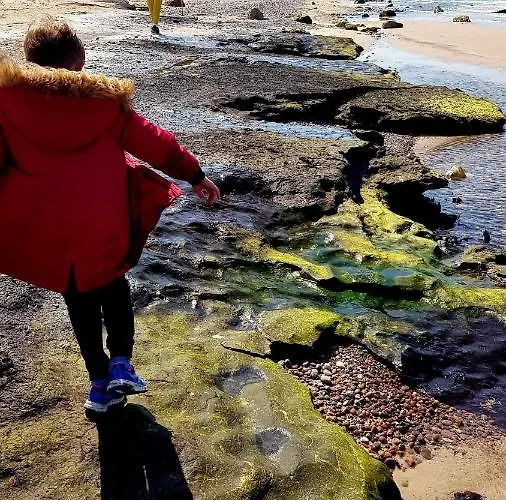 Leśna Ostoja Dom wakacyjny Poddąbie