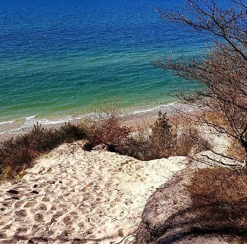 Dom wakacyjny Leśna Ostoja Poddąbie