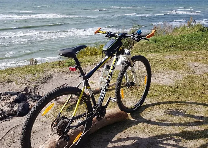 Leśna Ostoja Poddąbie