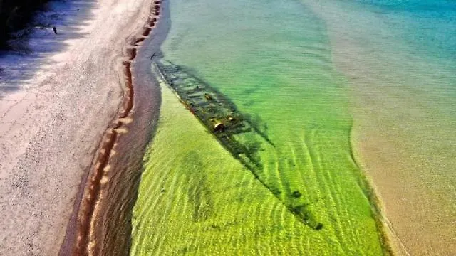 Leśna Ostoja Poddąbie