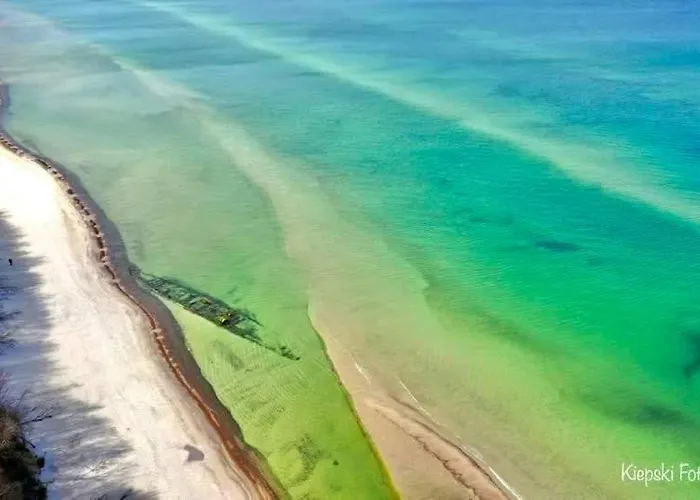 Dom wakacyjny Leśna Ostoja